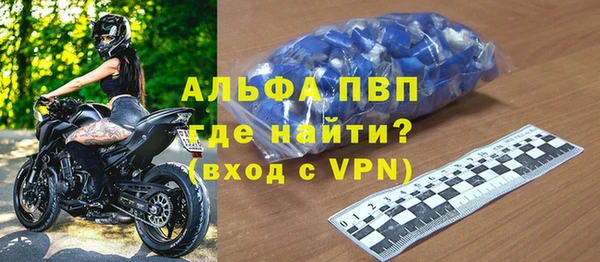 стафф Новозыбков