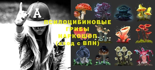 mdpv Новокубанск