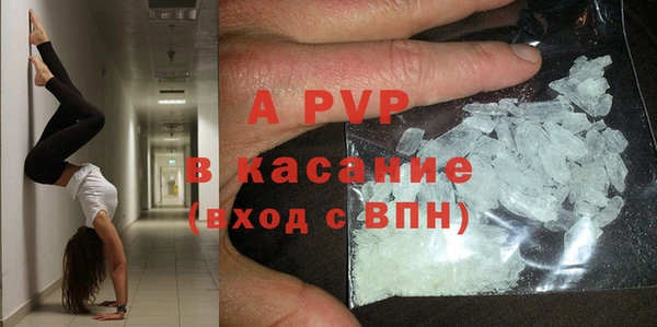 стафф Новозыбков