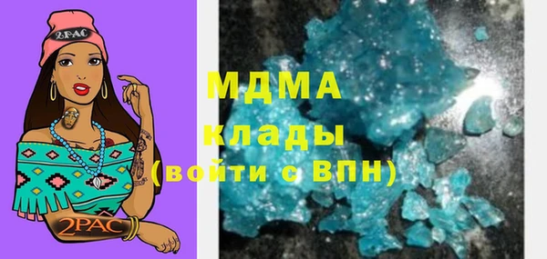 шишки Белая Холуница