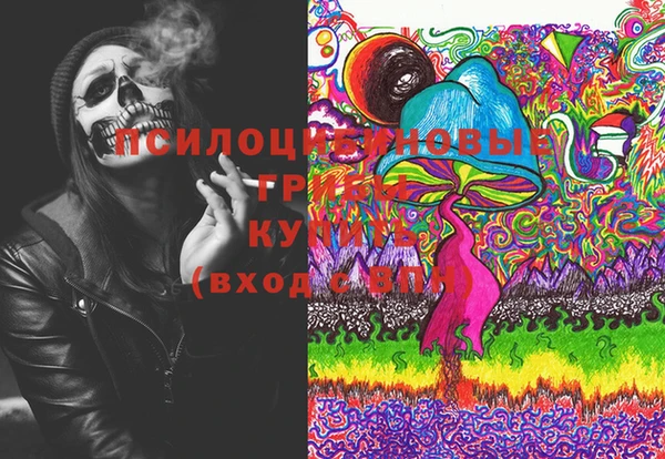 шишки Белая Холуница