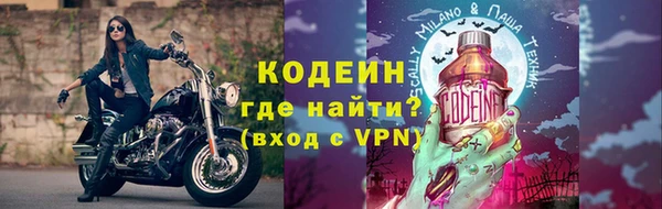 стафф Новозыбков