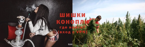 стафф Новозыбков