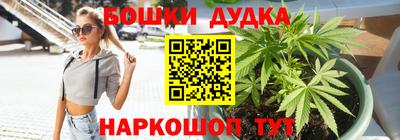 PSILOCYBIN Кулебаки