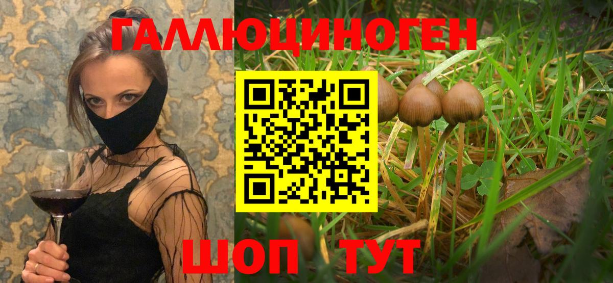 Галлюциногенные грибы Cubensis Грозный