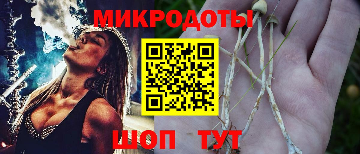 закладка  Вход с VPN  Грозный  Галлюциногенные грибы Magic Shrooms 